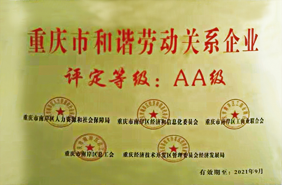 9.重慶市和諧勞動關(guān)系企業(yè).jpg