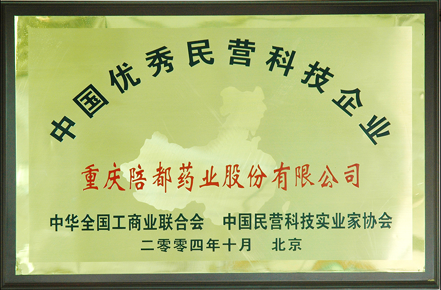 12.中國優秀民營科技企業.jpg